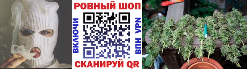  Cocaine Куровское